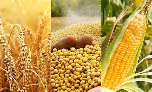Mở rộng thị trường hàng hóa phái sinh, hướng tới hình thành giá tham chiếu trong nước