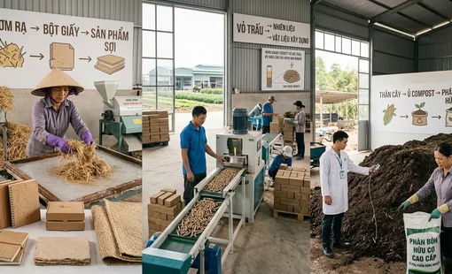 Cách xử lý phụ phẩm nông nghiệp để vừa bảo vệ môi trường vừa tạo thêm thu nhập