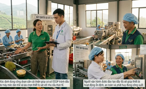 Cách lựa chọn máy chế biến phù hợp với cơ sở OCOP
