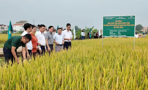 Trung tâm Khuyến nông tỉnh Phú Thọ: Đổi mới tư duy, kiến tạo giá trị bền vững cho nông nghiệp đất Tổ