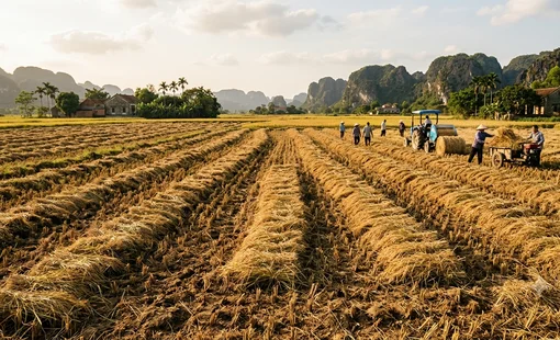 Cách tận dụng rơm rạ sau thu hoạch thay vì đốt ngoài đồng