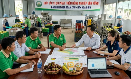Cách xây dựng chuỗi sản xuất – chế biến – tiêu thụ ngay tại nông thôn