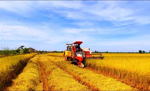 Nông nghiệp trước yêu cầu chuyển từ tăng sản lượng sang nâng giá trị