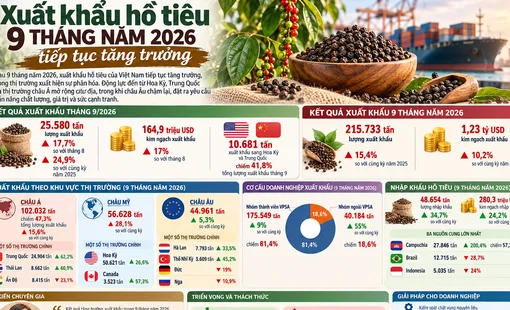 Xuất khẩu hồ tiêu 9 tháng năm 2026 tiếp tục tăng trưởng
