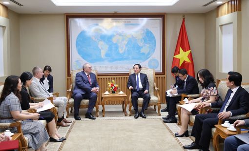 Phó Thủ tướng Hồ Quốc Dũng tiếp lãnh đạo Cơ quan Năng lượng nguyên tử Quốc tế (IAEA)