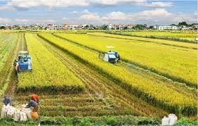 Thái Bình: Xây dựng nông thôn mới từ nền tảng sản xuất nông nghiệp hiện đại
