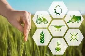 Chuyển đổi số mở lối cho nông nghiệp thông minh: Tạo đột phá về năng suất và giá trị nông sản