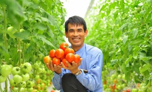 Tập trung nguồn lực, tạo đột phá trong xây dựng nông thôn mới giai đoạn 2026–2035