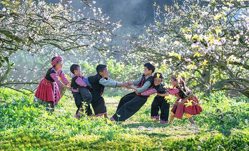 Mộc Châu: Khi du lịch xanh trở thành sức hút của vùng cao Tây Bắc