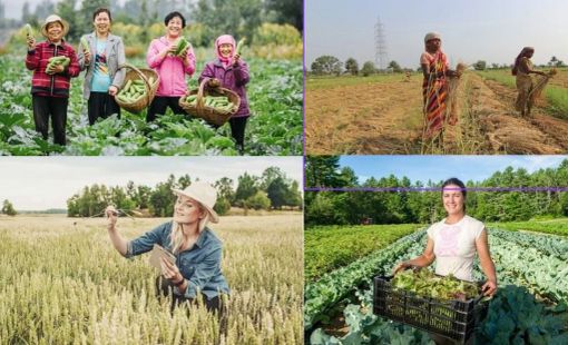 Vai trò phụ nữ trong phát triển kinh tế nông thôn