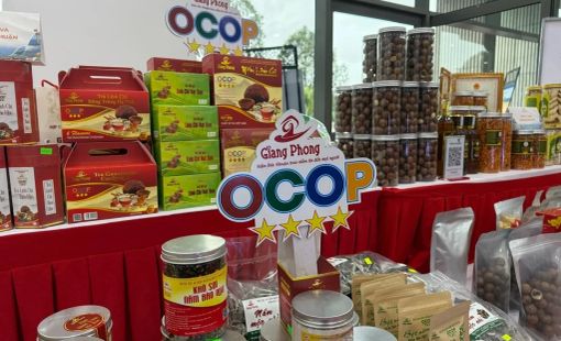 Sản phẩm OCOP tăng tốc chuyển đổi số, từng bước chinh phục thị trường trực tuyến