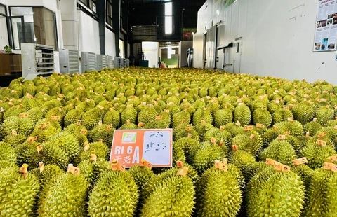 Báo chí góp phần mở rộng không gian phát triển cho nông nghiệp xanh