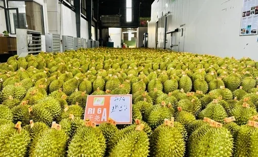 Báo chí góp phần mở rộng không gian phát triển cho nông nghiệp xanh