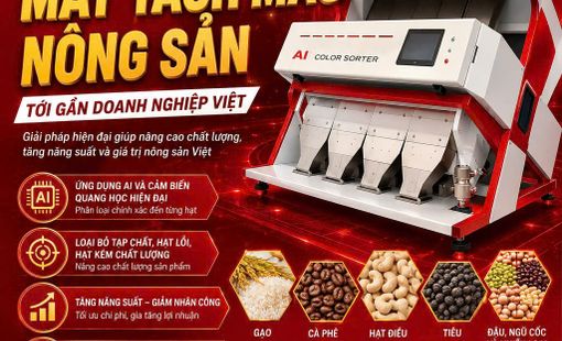 CIAME Asia Vietnam 2026 sẽ mang công nghệ máy tách màu nông sản đến gần doanh nghiệp Việt