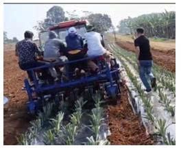 KẾT QUẢ NGHIÊN CỨU MÁY TRỒNG DỨA 4 HÀNG KẾT HỢP  PHỦ NI LÔNG Ở VIỆT NAM