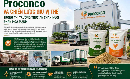 Proconco và chiến lược giữ vị thế trong thị trường thức ăn chăn nuôi phân hóa mạnh