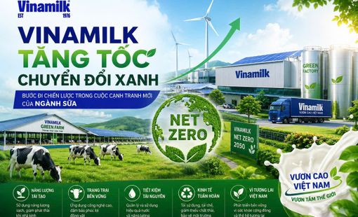Vinamilk tăng tốc chuyển đổi xanh: Bước đi chiến lược trong cuộc cạnh tranh mới của ngành sữa