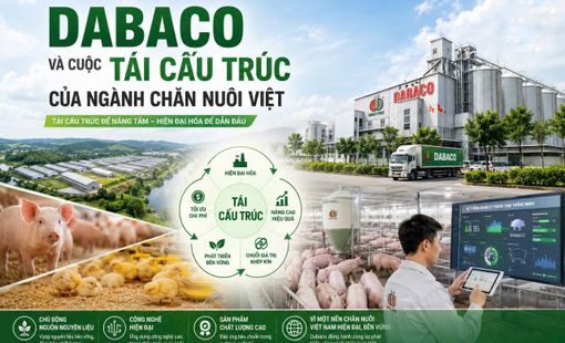Dabaco và cuộc tái cấu trúc của ngành chăn nuôi Việt