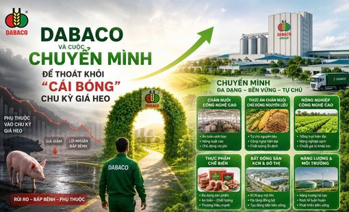 Dabaco và cuộc chuyển mình để thoát khỏi “cái bóng” chu kỳ giá heo