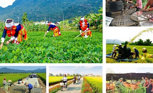 Đẩy nhanh Chương trình mục tiêu quốc gia 2026 – 2030: Thúc đẩy xây dựng nông thôn mới và giảm nghèo bền vững