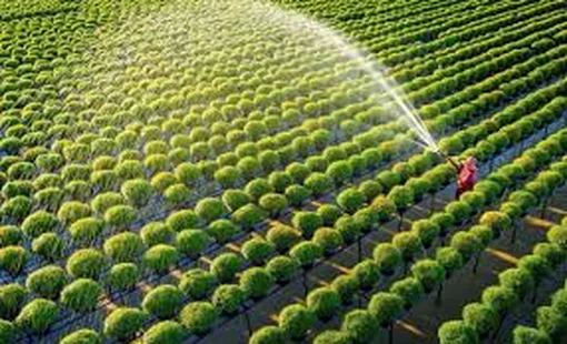 Trí tuệ nhân tạo mở đường cho nông nghiệp Việt bước vào phân khúc cao cấp
