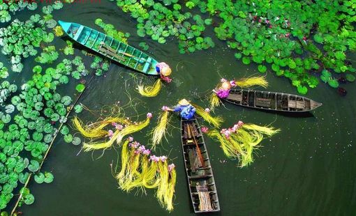 Kết nối sản phẩm OCOP với du lịch cộng đồng, Đồng Tháp tạo sức bật kinh tế nông thôn