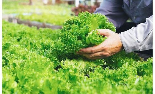 NGHIÊN CỨU  TÍNH TOÁN THIẾT KẾ LỒNG QUAY CỦA  MÔ HÌNH MÁY LY TÂM CHO RAU CẮT TƯƠI  DẠNG MẺ