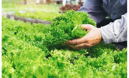 NGHIÊN CỨU  TÍNH TOÁN THIẾT KẾ LỒNG QUAY CỦA  MÔ HÌNH MÁY LY TÂM CHO RAU CẮT TƯƠI  DẠNG MẺ