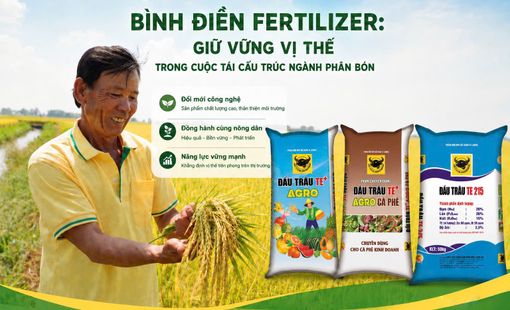 Bình Điền Fertilizer: Giữ vững vị thế trong cuộc tái cấu trúc ngành phân bón