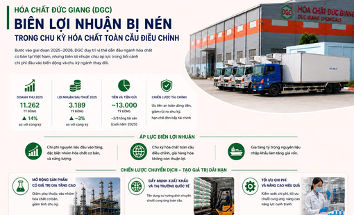 Hóa chất Đức Giang (DGC): Biên lợi nhuận bị nén trong chu kỳ hóa chất toàn cầu điều chỉnh