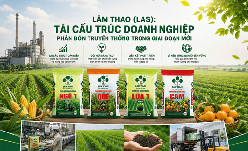 Supe Lâm Thao: Tái cấu trúc doanh nghiệp phân bón truyền thống trong giai đoạn mới