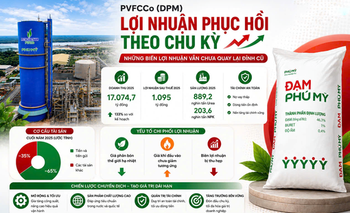 PVFCCo (DPM): Lợi nhuận phục hồi theo chu kỳ, nhưng biên lợi nhuận vẫn chưa quay lại đỉnh cũ