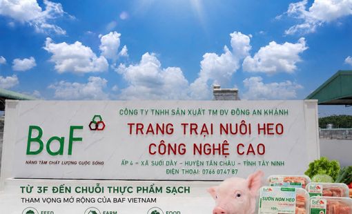 Từ 3F đến chuỗi thực phẩm sạch: tham vọng mở rộng của BAF Vietnam