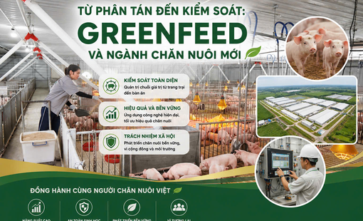 Từ phân tán đến kiểm soát: GreenFeed và ngành chăn nuôi mới