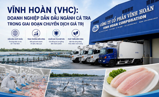 Vĩnh Hoàn (VHC): Doanh nghiệp dẫn đầu ngành cá tra trong giai đoạn chuyển dịch giá trị