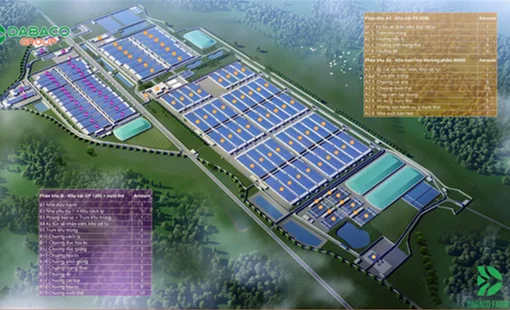 Dabaco rót gần 1.000 tỷ đồng vào dự án chăn nuôi tại Quảng Trị