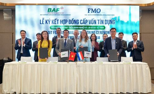 BAF tăng tốc mở rộng chăn nuôi công nghệ cao với khoản tín dụng 50 triệu USD từ Hà Lan