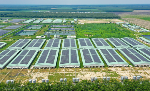 BAF gia nhập rổ VN100, mở rộng hiện diện trong nhóm cổ phiếu vốn hóa lớn