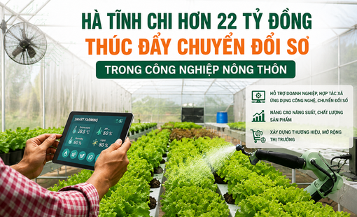Hà Tĩnh chi hơn 22 tỷ đồng thúc đẩy chuyển đổi số trong công nghiệp nông thôn