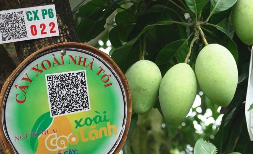 Hợp tác xã ĐBSCL chuyển mình nhờ công nghệ số: Mở lối cho nông nghiệp hiện đại và xuất khẩu bền vững