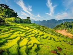 Pù Luông: Điểm đến sinh thái giữa đại ngàn xứ Thanh