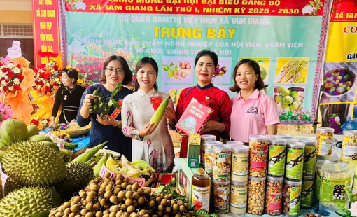 Phát triển sinh kế bền vững: Tiếp sức đồng bào dân tộc thiểu số vươn lên thoát nghèo