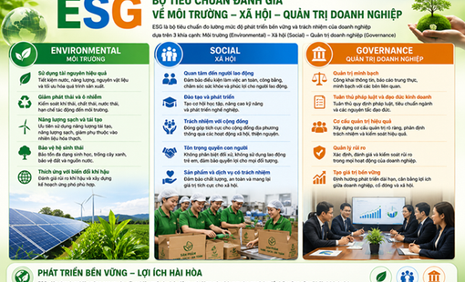 Doanh nghiệp công nghiệp nông thôn trước yêu cầu ESG: Thách thức hay cơ hội bứt phá?