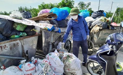 Sóc Sơn lan tỏa mô hình “Cánh đồng không rác thải”, chung tay xây dựng nền nông nghiệp xanh