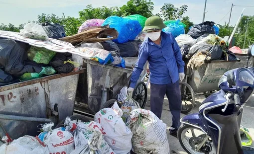 Sóc Sơn lan tỏa mô hình “Cánh đồng không rác thải”, chung tay xây dựng nền nông nghiệp xanh