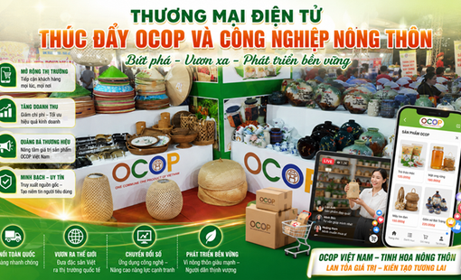 Thương mại điện tử thúc đẩy OCOP và công nghiệp nông thôn bứt phá