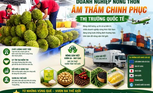 Doanh nghiệp công nghiệp nông thôn âm thầm chinh phục thị trường quốc tế