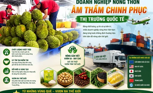 Doanh nghiệp công nghiệp nông thôn âm thầm chinh phục thị trường quốc tế