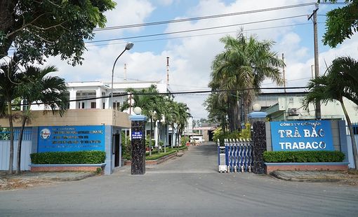 Trabaco và hướng phát triển chuỗi giá trị từ cây dừa trong công nghiệp nông thôn