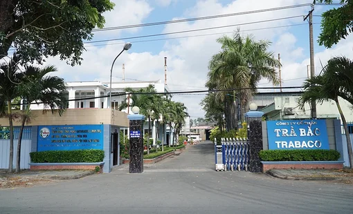 Trabaco và hướng phát triển chuỗi giá trị từ cây dừa trong công nghiệp nông thôn